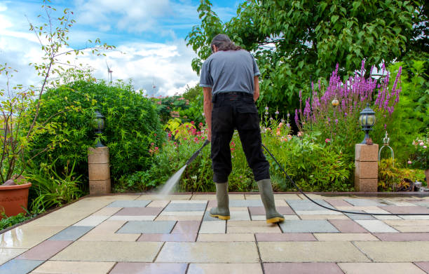 Animal Enclosure Cleaning in Mount Hermon, CA